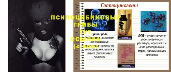 стафф Киров