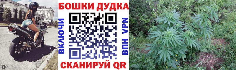 Бошки Шишки ГИДРОПОН  Геленджик 